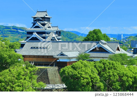 【熊本県】晴天の熊本城（天守閣と本丸御殿） 123868444