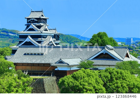【熊本県】晴天の熊本城(天守閣と本丸御殿) 【熊本県】晴天の熊本城(天守閣と本丸御殿) 123868446