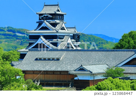 【熊本県】晴天の熊本城（天守閣と本丸御殿） 123868447
