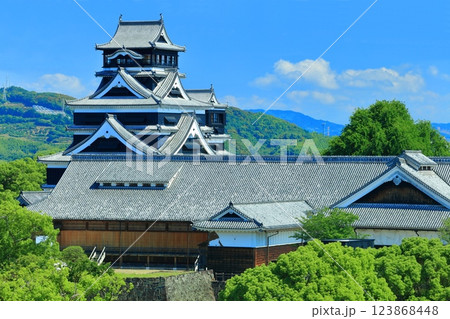 【熊本県】晴天の熊本城（天守閣と本丸御殿） 123868448