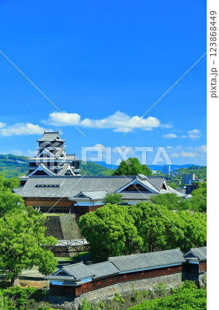 【熊本県】晴天の熊本城（天守閣と本丸御殿と重要文化財櫓群） 123868449