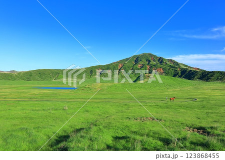 【熊本県】新緑の草千里ヶ浜（阿蘇山） 123868455