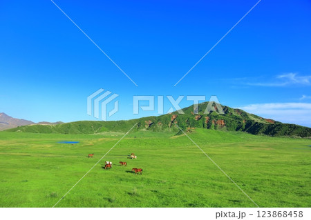 【熊本県】新緑の草千里ヶ浜（阿蘇山） 123868458