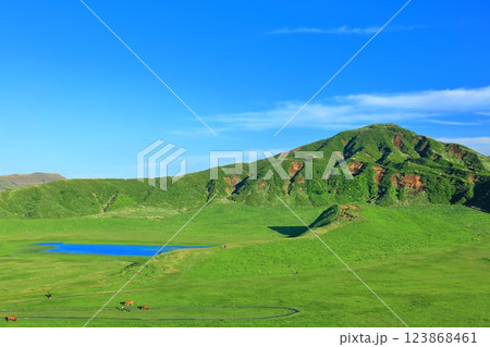 【熊本県】新緑の草千里ヶ浜（阿蘇山） 123868461