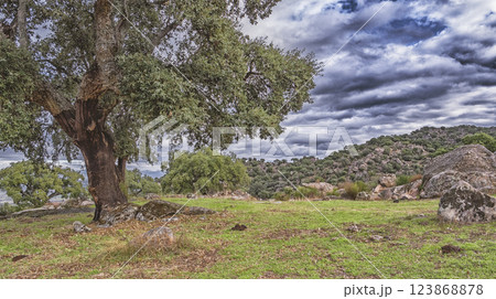 Protected Landscape Monte Valcorchero y Sierra del Gordo, Caceres, Spain 123868878