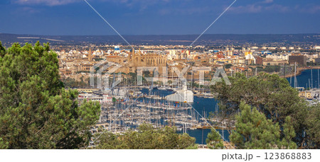 Panoramic City View of Palma de Mallorca, Spain 123868883