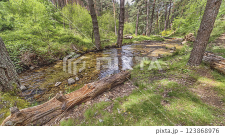 Azud del Acueducto Hiking Route, Sierra de Guadarrama National Park, Spain 123868976