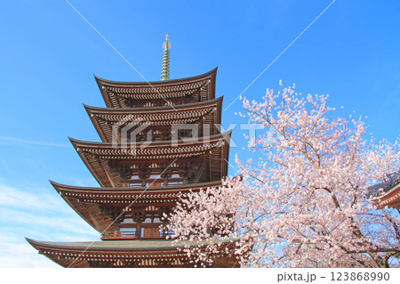 愛知県名古屋市、覚王山日泰寺五重塔と桜の風景 123868990