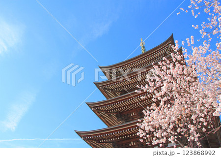 愛知県名古屋市、覚王山日泰寺五重塔と桜の風景 123868992