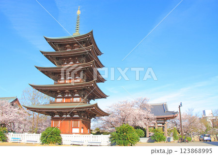愛知県名古屋市、覚王山日泰寺五重塔と桜の風景 123868995