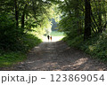 The guy and the girl go down the slope in the old park 123869054