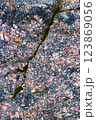 Structure pink granite with a split moss-grown 123869056