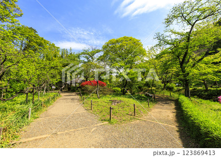 神奈川県横浜市の景勝地の三渓園・三溪園の新緑 神奈川県横浜市の景勝地の三渓園・三溪園の新緑 123869413