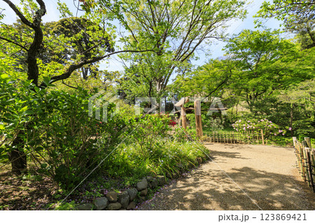 神奈川県横浜市の景勝地の三渓園・三溪園の新緑 123869421