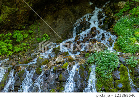 【長野県】白骨温泉 竜神の滝・沢に咲く白い花 【長野県】白骨温泉 竜神の滝・沢に咲く白い花 123869640
