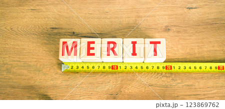 Merit symbol. Concept word Merit on beautiful wooden blocks. Beautiful wooden table wooden background. Beautiful yellow ruler. Business lifestyle merit concept. Copy space. 123869762