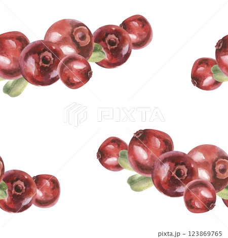 Red forest berries watercolor seamless pattern. Hand drawn cranberries background,botanical painting for product packing,wallpaper, scrapbookig design 123869765