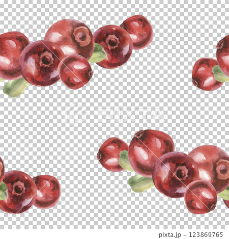 Red forest berries watercolor seamless pattern. Hand drawn cranberries background,botanical painting for product packing,wallpaper, scrapbookig design 123869765