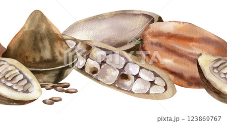 Cocoa beans and powder watercolor seamless border. Hand drawn banner with brown cocoa pod,fresh and dried beans illustration for product packing, textile,fabric design 123869767