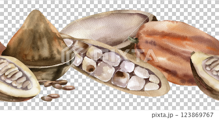 Cocoa beans and powder watercolor seamless border. Hand drawn banner with brown cocoa pod,fresh and dried beans illustration for product packing, textile,fabric design 123869767