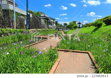 【熊本県】晴天の高瀬裏川水際緑地公園の花菖蒲 123869813