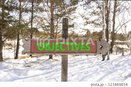 Objectives symbol. Concept word Objectives on beautiful wooden road sign. Beautiful winter forest background. Business objectives concept. Copy space. 123869854