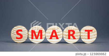 Smart symbol. Concept word Smart on beautiful wooden circles. Beautiful grey table grey background. Business lifestyle smart concept. Copy space. 123869862