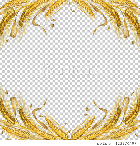 Square frame of ripe wheat ears, leaves and wheat grains. All objects are hand-drawn with yellow watercolor. Watercolor illustration. Suitable for food packaging design, bakeries. 123870407