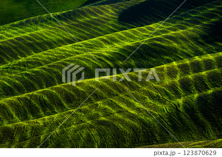 Green terraced landscape with vibrant patterns and rolling hills in natural light Green terraced landscape with vibrant patterns and rolling hills in natural light 123870629
