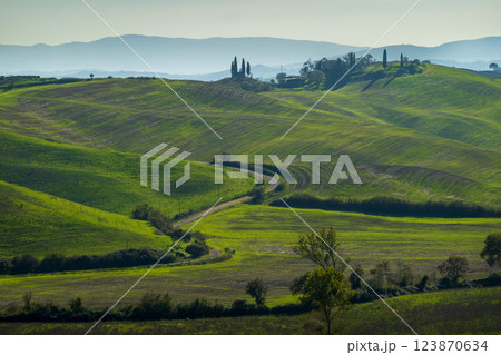 Serene green rolling hills with a winding path in a rural setting Serene green rolling hills with a winding path in a rural setting 123870634