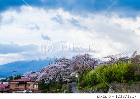 四月 ４月 4月 123871217