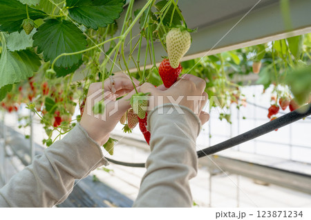農耕 農業 背景 123871234