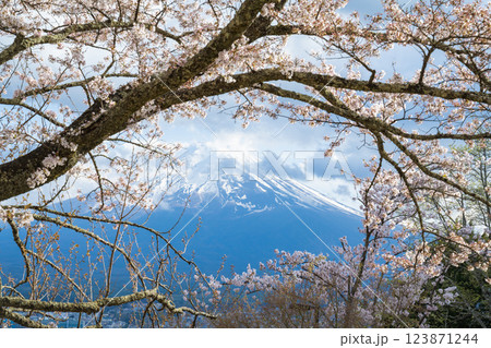 四月 ４月 4月 123871244