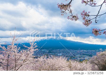 四月 ４月 4月 123871250