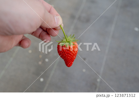 農耕 農業 背景 123871312