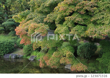 秋麗の栗林公園（10月中旬） 123871316