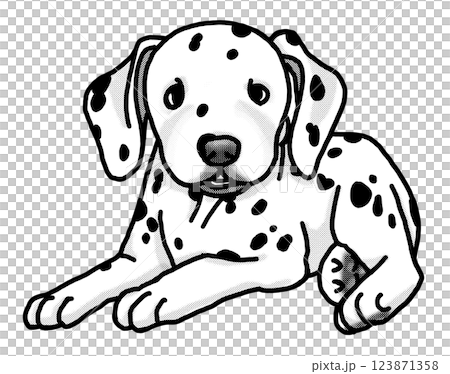 Dalmatian puppy black and white transparent background 123871358
