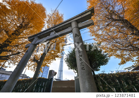 Traditional Japanese Shrine Gate with Autumn Foliage, Tokyo Dec 8 2024 123871481
