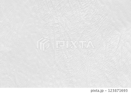 White grey leather texture background with seamless pattern and high resolution. White grey leather texture background with seamless pattern and high resolution. 123871693