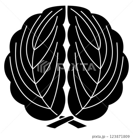 蜂須賀小六の家紋です。抱き柏といいます。 123871809