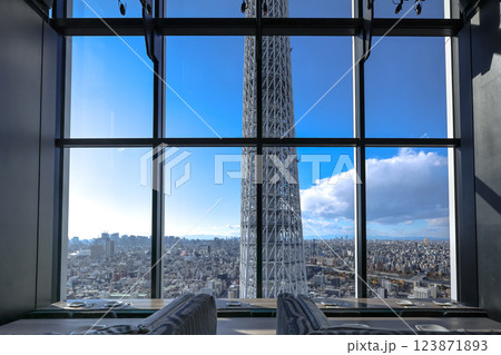Dec 8 2024 Stunning Cityscape View With Iconic Tower, Tokyo Dec 8 2024 Stunning Cityscape View With Iconic Tower, Tokyo 123871893