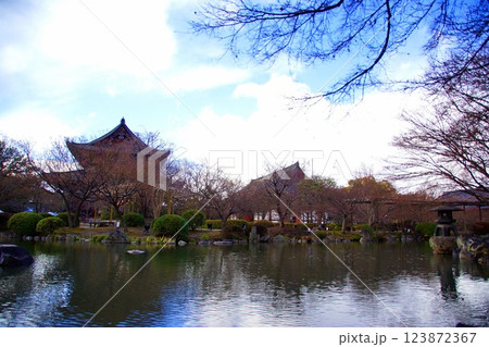 京都府　東寺・庭園 瓢箪池　京都市 南区 九条町　2022年2月 123872367