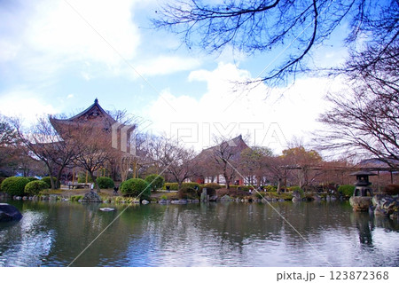 京都府 東寺・庭園 瓢箪池 京都市 南区 九条町 2022年2月 京都府 東寺・庭園 瓢箪池 京都市 南区 九条町 2022年2月 123872368