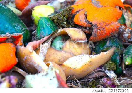 コンポスト 野菜くず 生ごみ 堆肥 分解 コンポスト 野菜くず 生ごみ 堆肥 分解 123872392