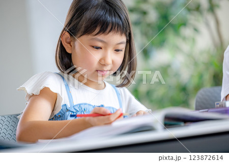 勉強をする子ども 123872614