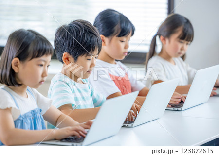 パソコンで学習する子供達 123872615