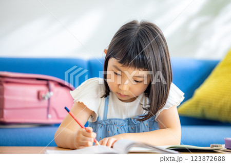 リビングで勉強する女の子 リビングで勉強する女の子 123872688