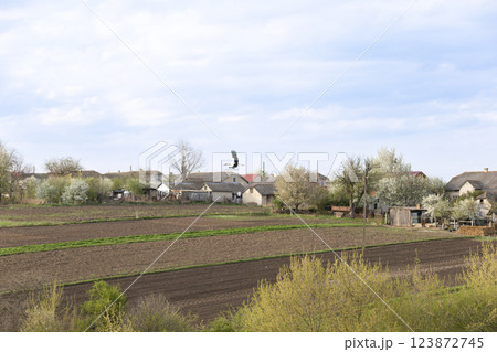 Stork Flying Over Rural Village Stork Flying Over Rural Village 123872745