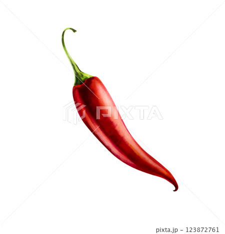 Red chilli pepper. Watercolor hand drawn cayenne, bell pepper spice isolated on transparent background. Salsa illustration. For designers, menu, decoration, food blog, ecofriendly branding. Healthy Red chilli pepper. Watercolor hand drawn cayenne, bell pepper spice isolated on transparent background. Salsa illustration. For designers, menu, decoration, food blog, ecofriendly branding. Healthy 123872761