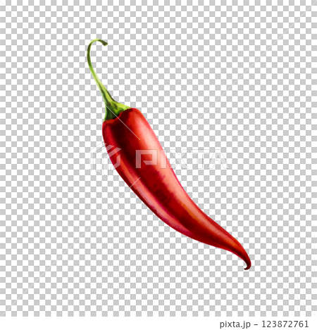 Red chilli pepper. Watercolor hand drawn cayenne, bell pepper spice isolated on transparent background. Salsa illustration. For designers, menu, decoration, food blog, ecofriendly branding. Healthy 123872761
